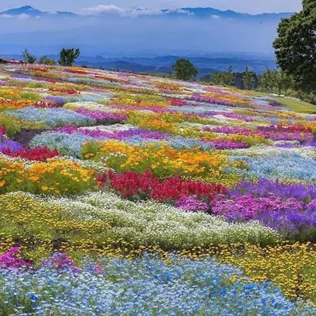 Il Riccio Bed & Breakfast Ortona