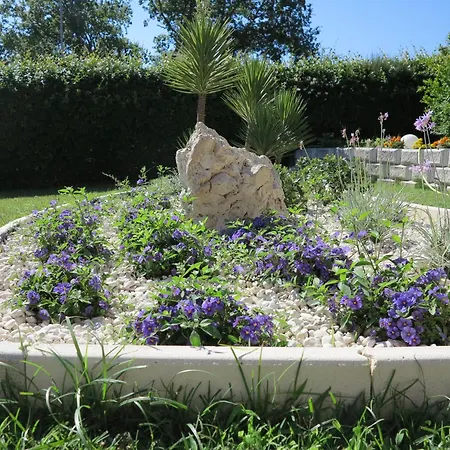 Il Riccio 4*