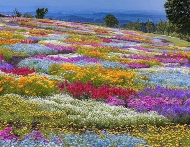 Il Riccio Alojamento de Acomodação e Pequeno-almoço Ortona