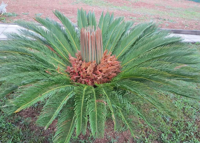 Il Riccio Alojamento de Acomodação e Pequeno-almoço Ortona